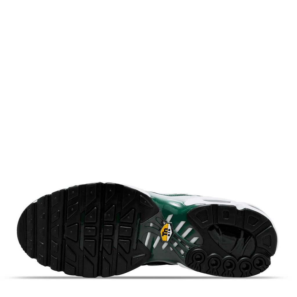 Tenis Nike Air Max Plus (TN)