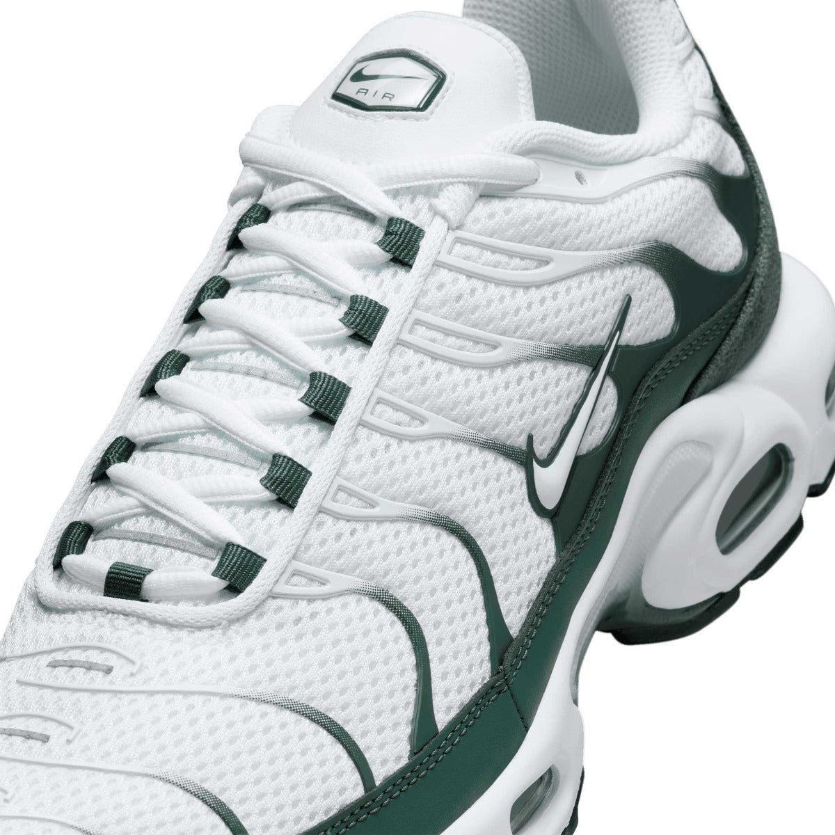 Tenis Nike Air Max Plus (TN)